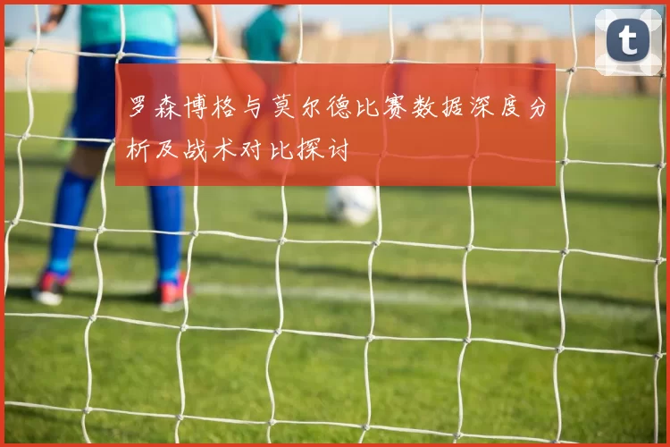 罗森博格与莫尔德比赛数据深度分析及战术对比探讨