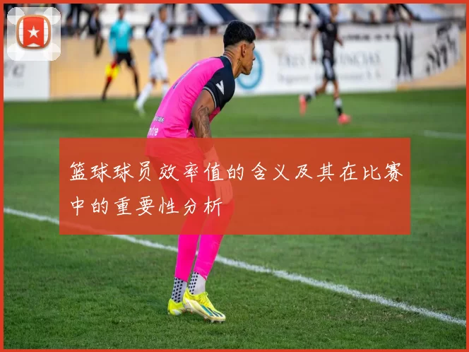 篮球球员效率值的含义及其在比赛中的重要性分析